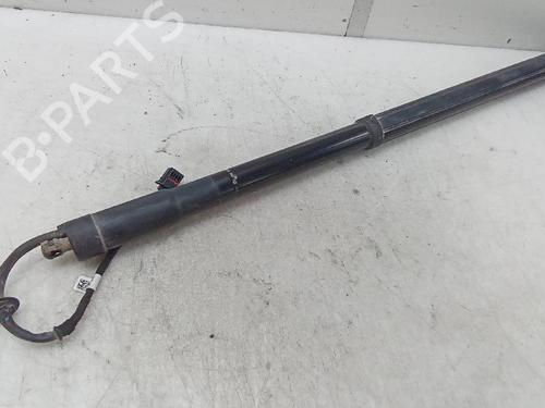 Tailgate lift support LAND ROVER RANGE ROVER SPORT I (L320) 3.0 D 4x4 | BP19583247C138 