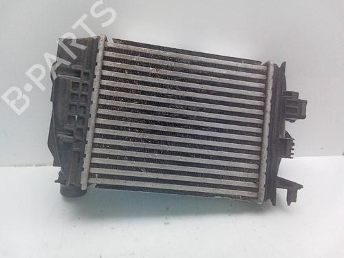 Intercooler RENAULT CLIO V (B7_)  | BP22435134M30 