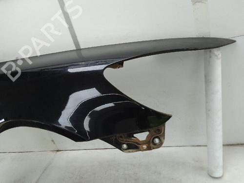 Right front fenders SKODA OCTAVIA II (1Z3) 1.9 TDI | BP25812124C42 