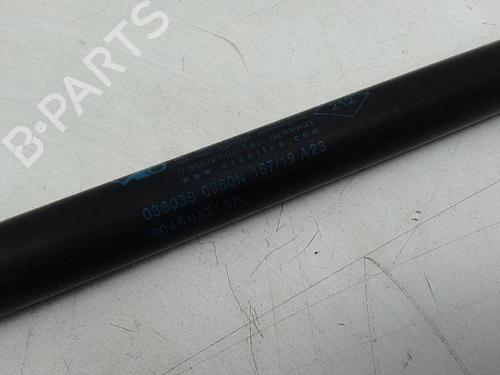 Used Tailgate lift support RENAULT CLIO V (B7_) [2019-2025]  18737428