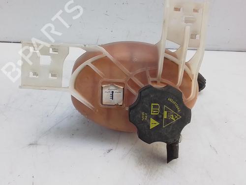 Used Expansion tank FIAT TIPO Hatchback (356_, 357_) 1.4 (356HXA1B, 357) (95 hp) 29129337