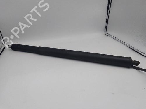 Used Tailgate lift support RENAULT AUSTRAL TCe 160 (HGMJ) (158 hp) 25018738