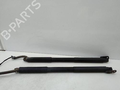 Tailgate lift support BMW 3 Touring (F31)  | BP21783379C138 