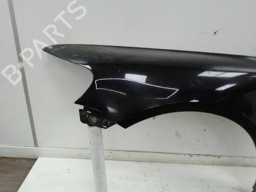 Left front fenders VW TOUAREG (7LA, 7L6, 7L7) 2.5 R5 TDI | BP25045566C41 
