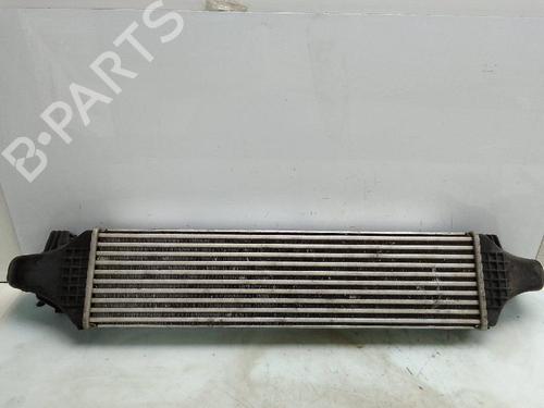 Intercooler MERCEDES-BENZ B-CLASS Sports Tourer (W246, W242) B 180 CDI (246.200) | BP25018858M30 