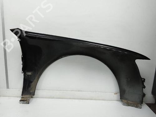 Left front fenders AUDI A8 D3 (4E2, 4E8)  | BP24170214C41 