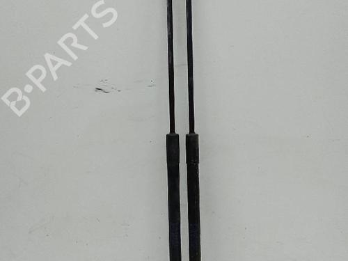 Tailgate lift support BMW X1 (E84)  | BP23452750C138 