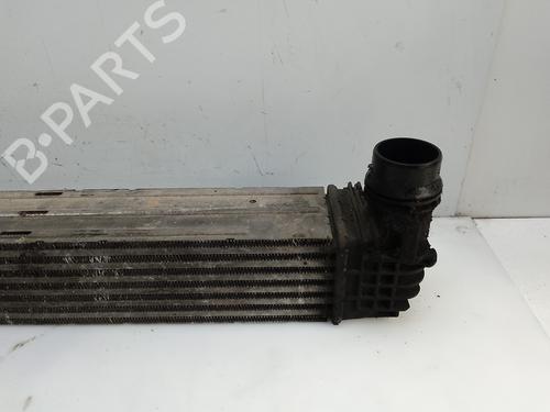 Intercooler RENAULT MEGANE III Hatchback (BZ0/1_, B3_) 1.5 dCi | BP29420738M30 