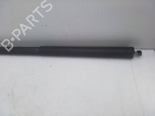 Tailgate lift support MERCEDES-BENZ M-CLASS (W164) ML 320 CDI 4-matic (164.122) | BP18582805C138 