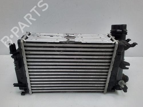 Intercooler RENAULT KADJAR (HA_, HL_) 1.3 TCe 140 (HLNB, HLN1) | BP29995400M30 