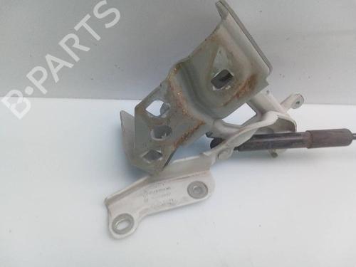 Hinge/Door check strap RENAULT TRAFIC III Van (FG_)  | BP21168629C146