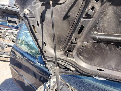 Used Hood VW GOLF V (1K1) 1.9 TDI (105 hp) 18590201