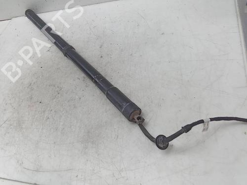 Used Tailgate lift support LAND ROVER RANGE ROVER SPORT I (L320) 3.0 D 4x4 (256 hp) 19583247