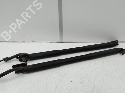 Tailgate lift support BMW 3 Touring (F31) 318 d | BP19028635C138