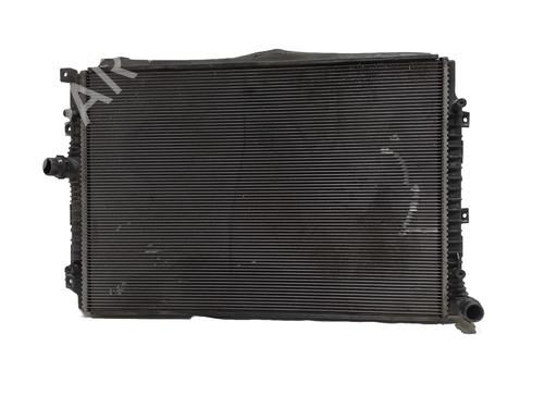 Used Water radiator Water radiator VW TIGUAN (AD1, AX1) 2.0 TDI (110 hp) 33976300 33976300