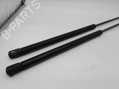 Tailgate lift support AUDI A3 (8P1)  | BP25734204C138 