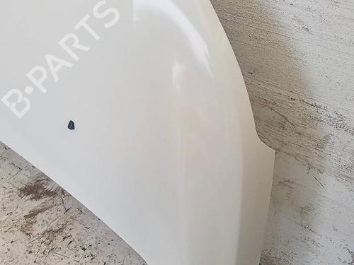 Hood FORD ECOSPORT 1.5 EcoBlue TDCi | BP19938369C1