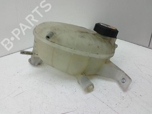 Expansion tank HYUNDAI IONIQ (AE) 1.6 GDI Hybrid | BP19105475C120 