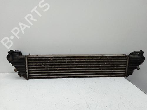 Intercooler FIAT TIPO Hatchback (356_, 357_)  | BP20207834M30 
