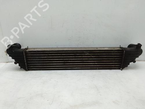 Used Intercooler FIAT TIPO Hatchback (356_, 357_) 1.4 LPG (356HXF1B) (120 hp) 28146678