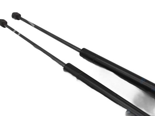 Tailgate lift support FORD C-MAX (DM2) 1.8 TDCi | BP30051636C138 