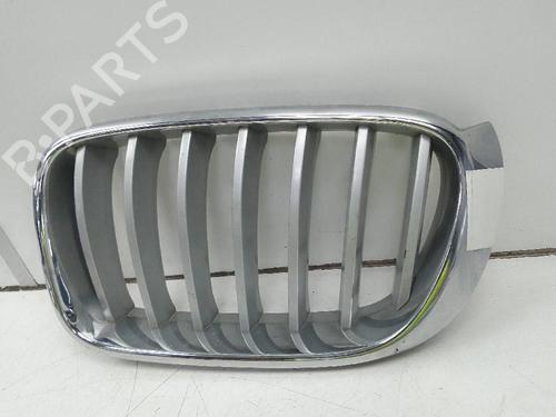 Used Grille BMW X3 (F25) xDrive 20 d (190 hp) 19659092