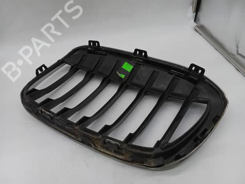 Grille BMW X1 (F48) sDrive 18 d | BP29764979C40 