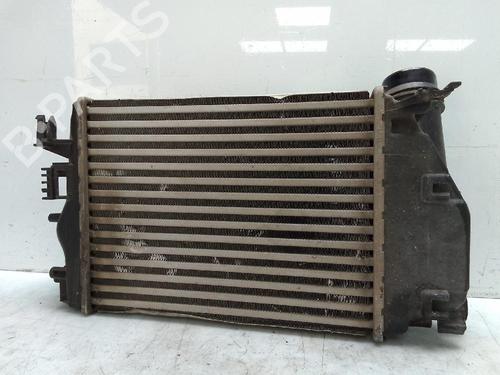 Intercooler NISSAN QASHQAI II (J11, J11_)  | BP27889076M30 
