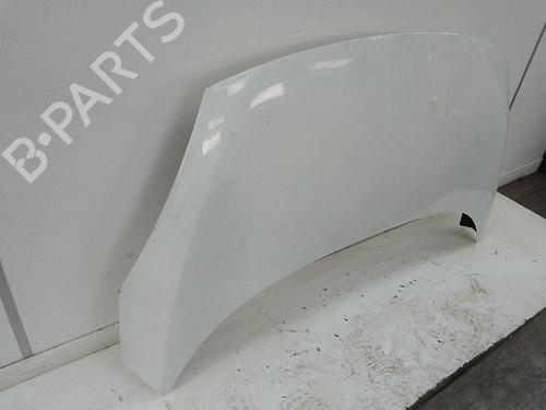 Hood RENAULT SCÉNIC III (JZ0/1_) 1.2 TCe | BP26593688C1