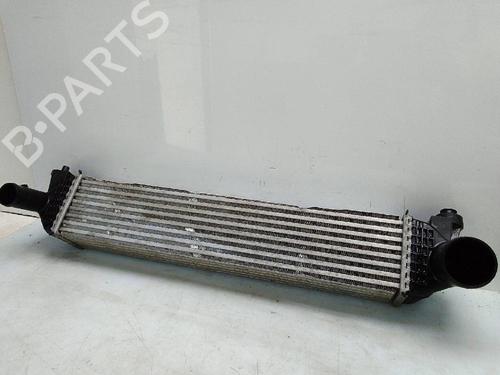 Intercooler MG MG HS (AS23) 1.5 T (SAS23) | BP25045693M30 