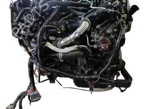 Engine FORD FIESTA VI (CB1, CCN) 1.4 TDCi | BP33166524M1  - Image 12