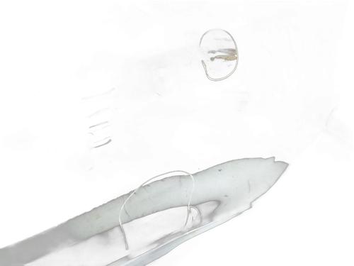 Left rear door RENAULT CLIO IV (BH_) 0.9 TCe 90 (BHNF, BHMA, BHMH, BHJK, BHJR) | BP31274560C4