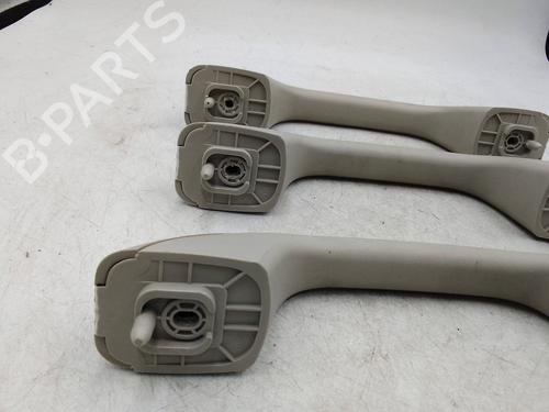 Interior roof handle DACIA SANDERO II 1.5 Blue dCi 95 (B8JL) | BP30192320I35 