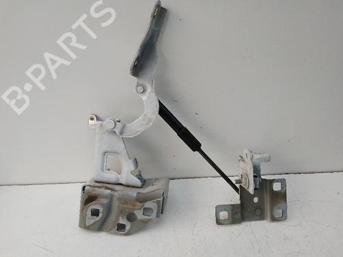 Hinge/Door check strap RENAULT TRAFIC III Van (FG_) 1.6 dCi 90 (FGME) | BP20115463C146