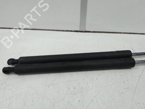 Tailgate lift support FORD TOURNEO COURIER B460 MPV 1.6 TDCi | BP19788280C138 