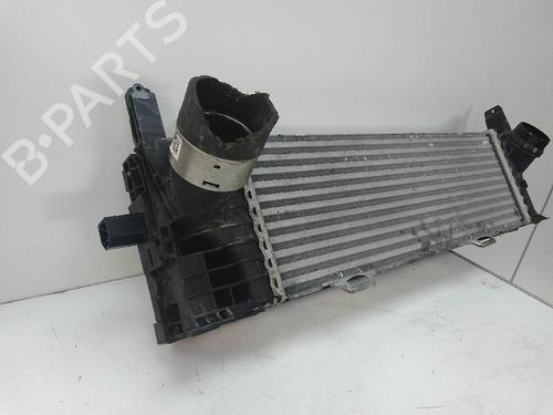 Intercooler BMW X4 (G02, F98) xDrive 25 d | BP18582213M30 