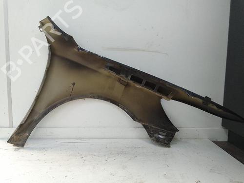 Left front fenders SKODA OCTAVIA II (1Z3) 1.9 TDI | BP25812129C41 