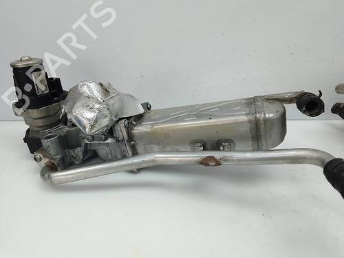 Egr SEAT IBIZA IV (6J5, 6P1) | BP24052326M69