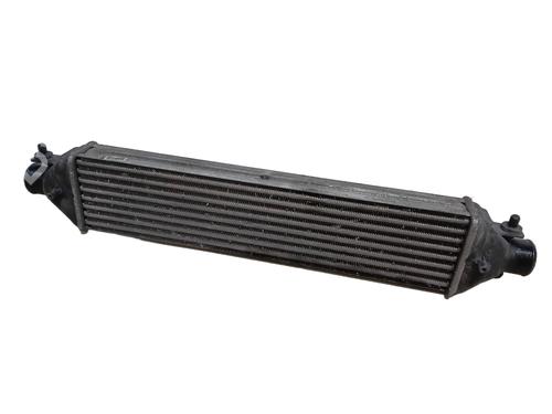 Used Intercooler Intercooler FIAT DOBLO Platform/Chassis (263_) 1.3 D Multijet (90 hp) 34421711 34421711