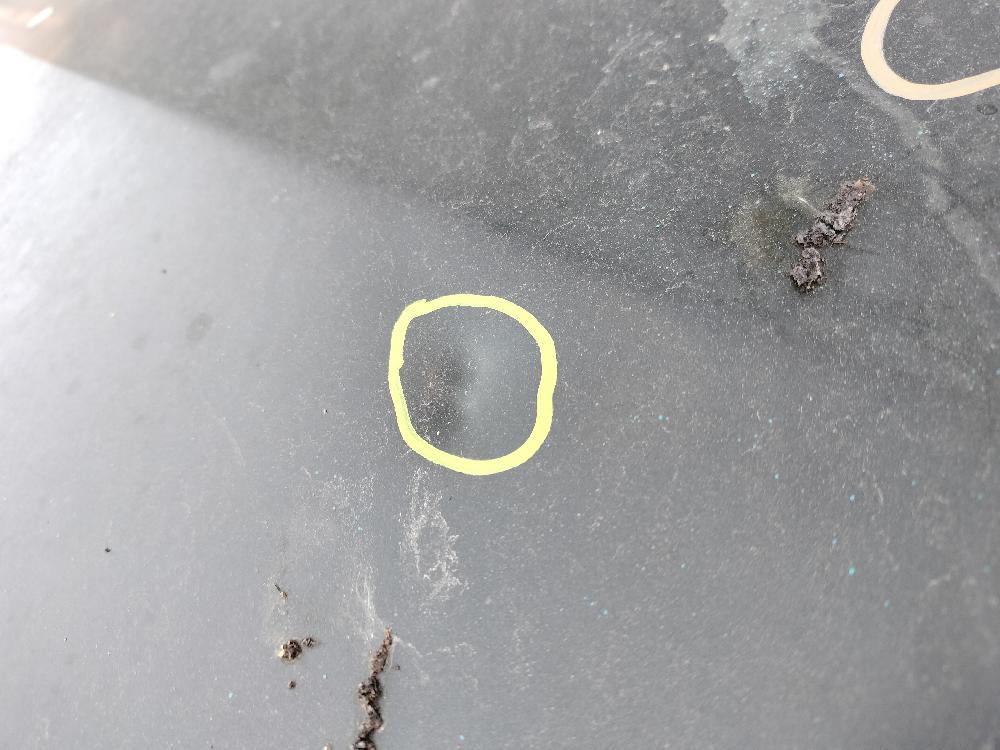 Capot Moteur Occasion Audi A5 I (2007-2011) - 5 Portes Ou Coupé - Bon état