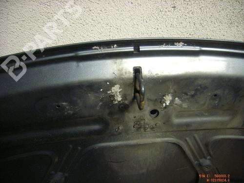 Hood PEUGEOT 307 (3A/C) 1.6 HDi 110 | BP5058599C1 