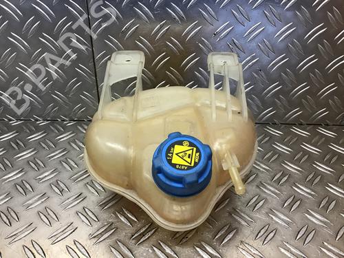 Used Expansion tank FIAT GRANDE PUNTO (199_) 1.4 16V (199BXG1B, 199AXG1B) (95 hp) 14695005
