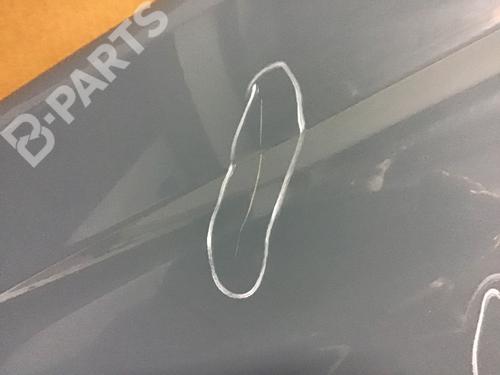 Left front fenders NISSAN X-TRAIL I (T30) 2.2 dCi 4x4 | BP8530988C41 