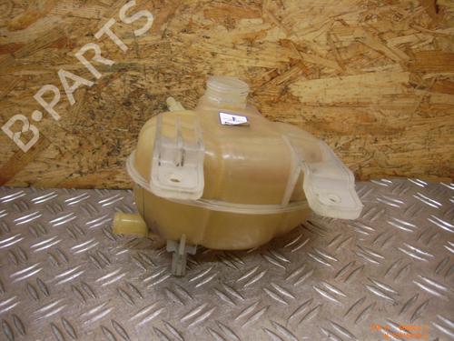 Used Expansion tank FIAT GRANDE PUNTO (199_) 1.2 (65 hp) 14694520
