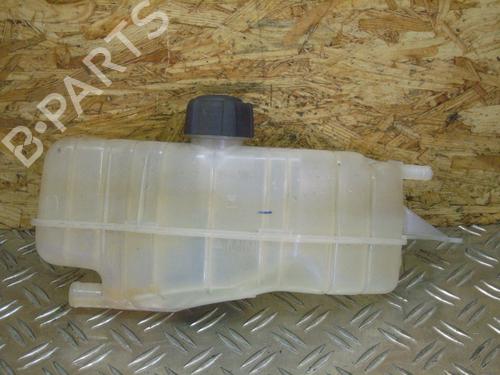 Used Expansion tank RENAULT CLIO III (BR0/1, CR0/1) 1.2 16V (BR02, BR0J, BR11, CR02, CR0J, CR11) (75 hp) 14694129