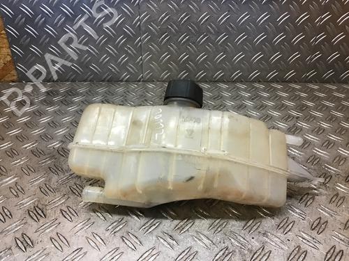 Used Expansion tank RENAULT CLIO III (BR0/1, CR0/1) 1.2 16V (BR0P, CR0P) (101 hp) 14696283