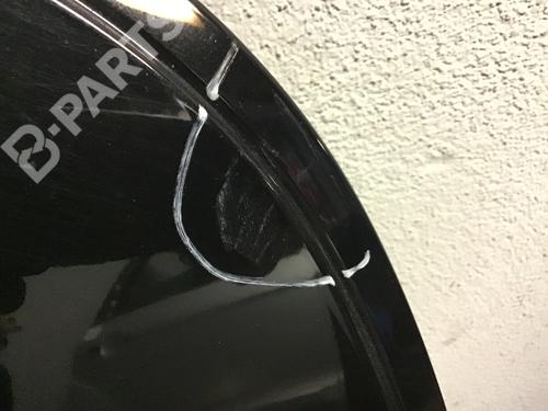 Hood SMART FORFOUR (454) 1.1 (454.030) | BP10112958C1 