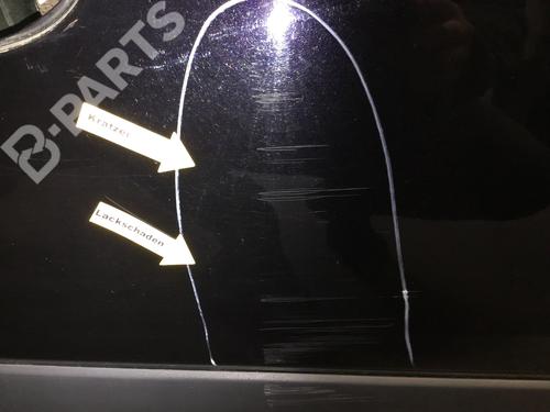 Right front door OPEL MERIVA A MPV (X03) 1.7 CDTI (E75) | BP9648478C3 