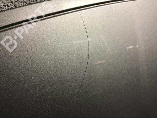 Hood SMART FORFOUR (454) 1.1 (454.030) | BP9175323C1