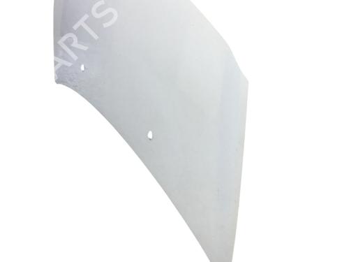 Hood RENAULT CLIO III (BR0/1, CR0/1) 1.2 16V (BR02, BR0J, BR11, CR02, CR0J, CR11) | BP24888793C1 